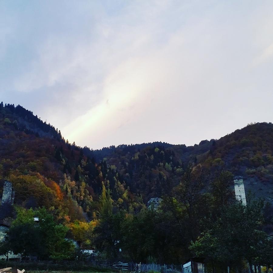 Lagami House Hotel Mestia Exterior photo